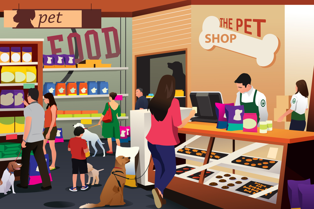 Roam Pets Digital Marketing